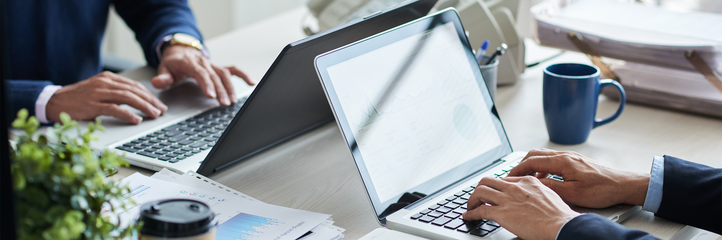 Brand Management & Customer Services